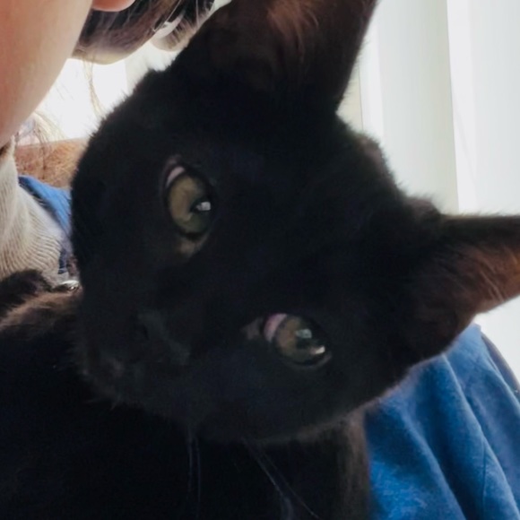 Meet your Posher, Megan - Picture 1 of 1